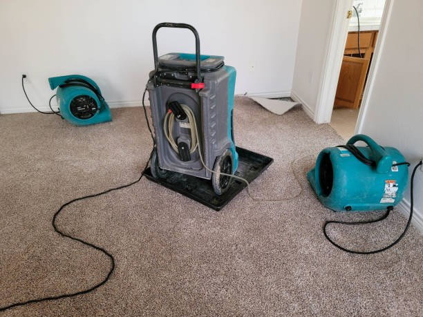 Best Local water damage restoration  in Toast, NC