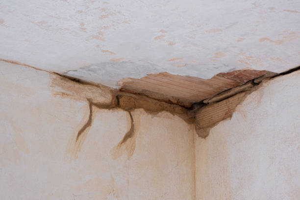 Sewage cleanup and water damage restoration in Toast, NC