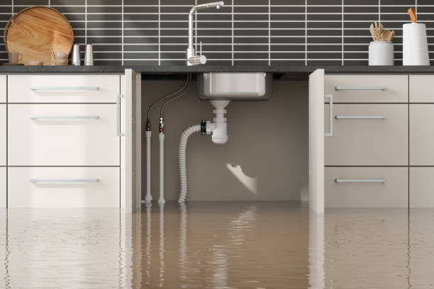 Best Water damage cleanup near me  in Toast, NC