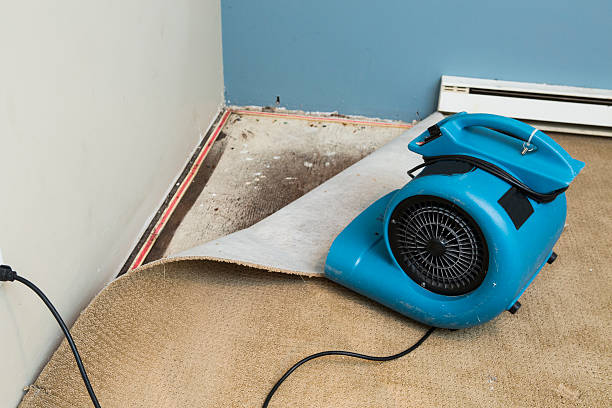 Best Basement water damage restoration  in Toast, NC